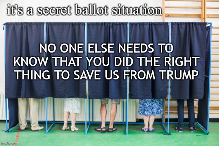 safe to vote your conscience